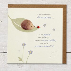 Gorgeous new Grandson- Card