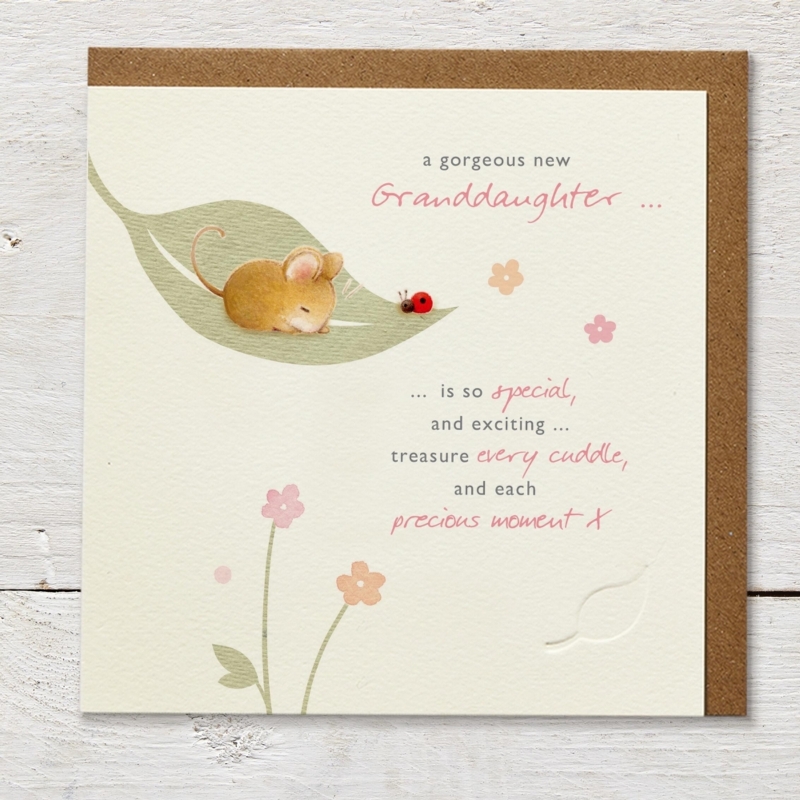A gorgeous new granddaughter- Card