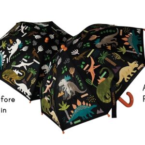 Dinosaur Magic Colour Changing Umbrella