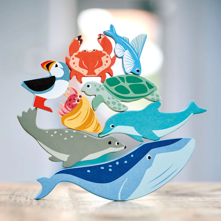 Coastal Creatures - Seal - Image 3