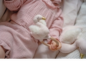 Baby Comforters & Rattles