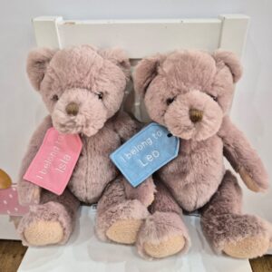 Traditional Bear With A Personalised Gift Tag.