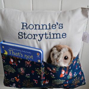 Night in the Forest Storytime Cushion