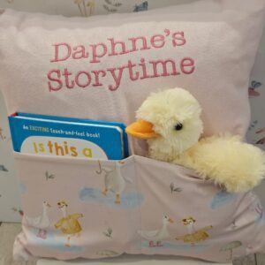 Weather for Ducks Storytime Cushion