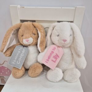 Bunny With A Personalised Gift Tag.